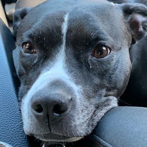 Meet your Posher, Jamie